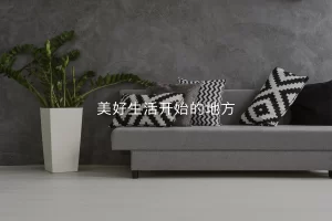 Our Interior Design Firm Expands to Balestier, Singapore, Offering Innovative Design Solutions