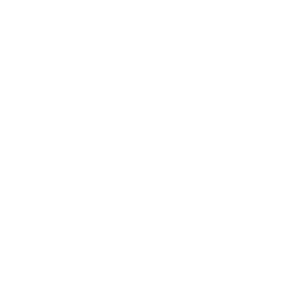 Bizasafe